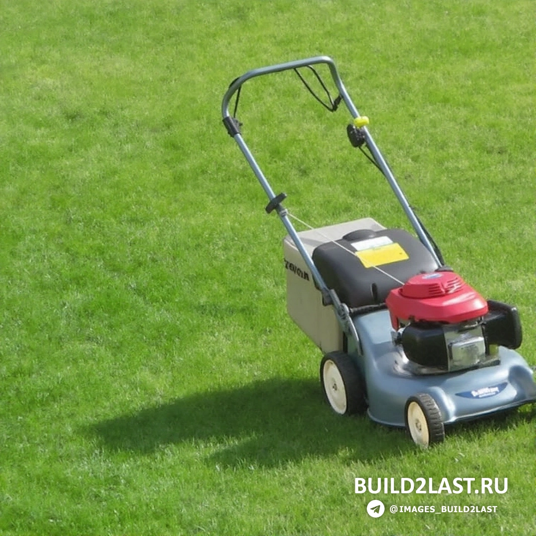 ������������� � ������.