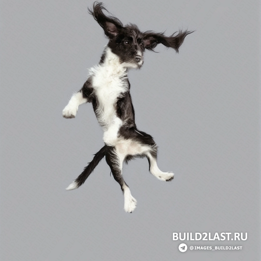 Миниатюрная собачка в акробатической позе, как будто парит в облаках